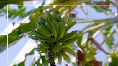 Reposteando para demostrar que en argentina no somos xenofobos