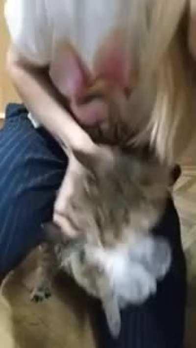 “I regret nothing! Do hear me? Nothing!”