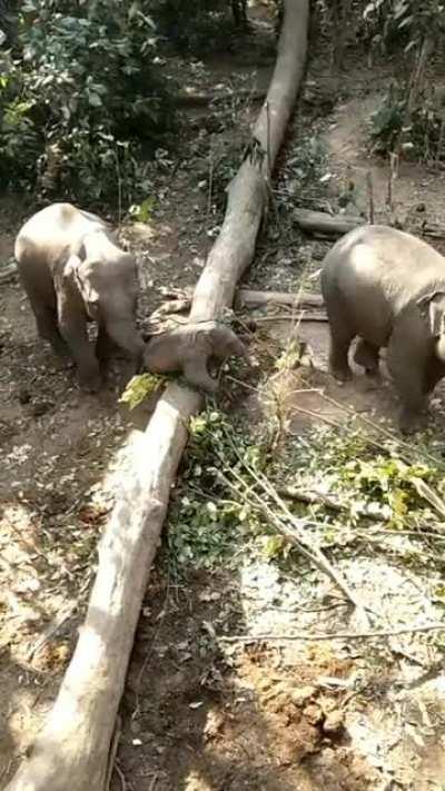 Everyone needs a little help sometimes