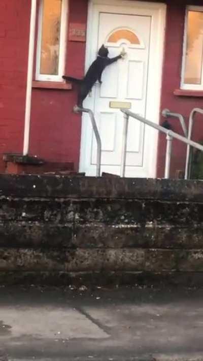 Тук-тук-тук