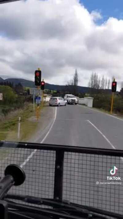 Reversing a little too much