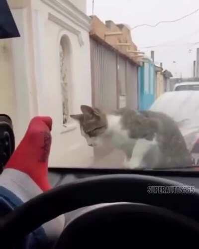 5Head o q poderia dar errado