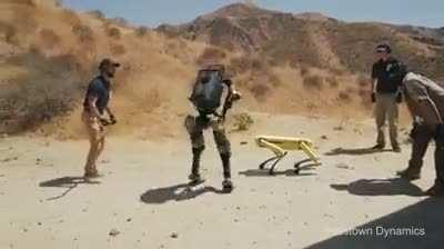 Se você já jogou o detroid já sabe as infinitas formas que essa história pode terminar