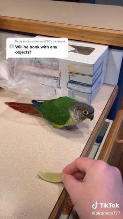 Credit to @birdmom777. link:  