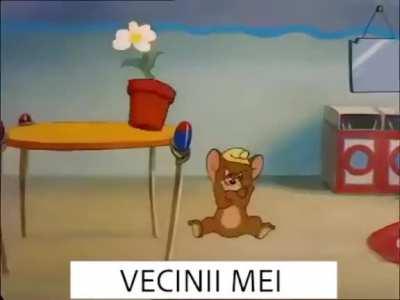 Vecinii
