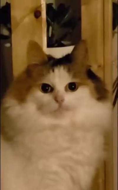 Thousand Yard Stare Wunk