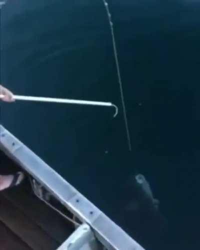 american fishing be like