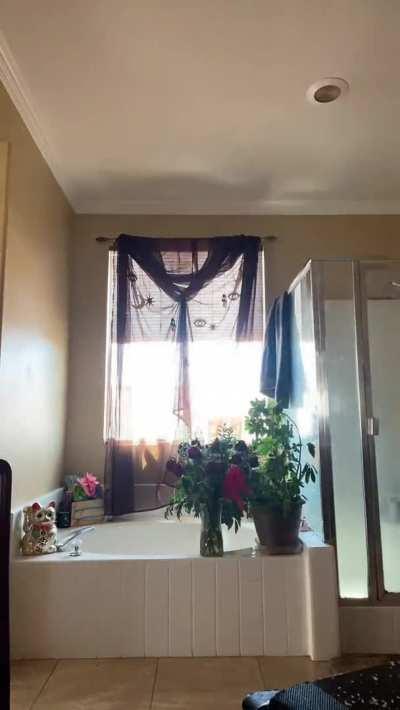 Accidental Nipslip TikTok Porn GIF by edward001