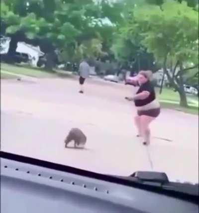 to film a raccoon