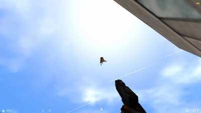 Witnessed the fish ascending to the heavens.