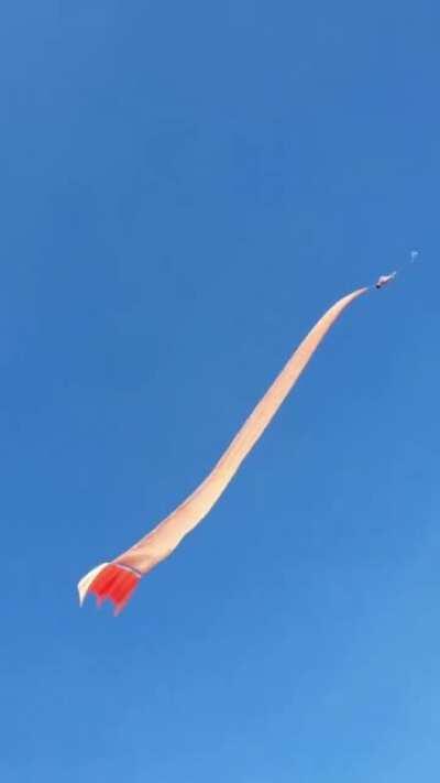 JFK they were just being tugged by that thing