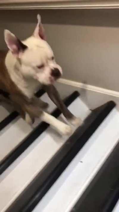 Ministry of silly stair walks