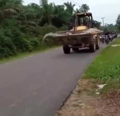 This absolute unit of a croc.