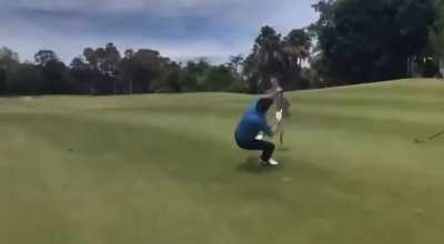 Just another day in paradise