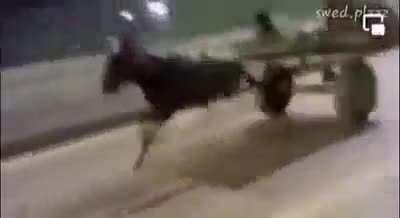 Дешевле чем бенз?