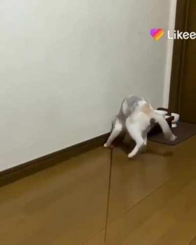 Playing with myself.