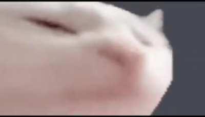 I have no idea what song this is help.