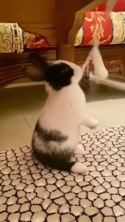 i cant believe oreo used to be this smoooolll😭