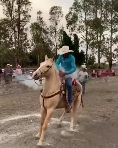 Pro tip: never wrap rope around your hand.