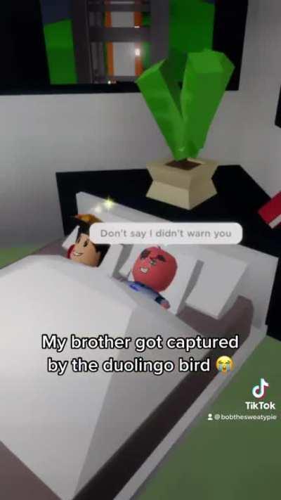 My brother got captured by the duolingo bird (this joke is old but whatever)