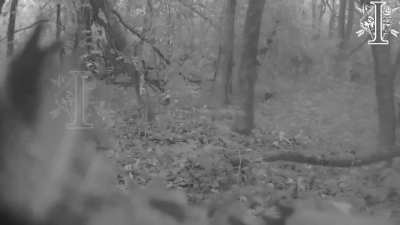 Ukrainian soldiers of the 8th SOF Regiment took out a group of Russian soldiers during close combat in a forest. Autumn 2025. Published 28.10.2025