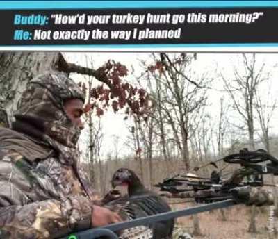 To turkey hunt