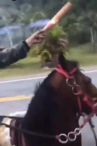 firework + horse= stupid prize