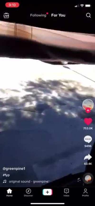 Horrible or hilarious