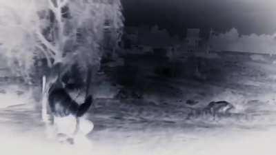 Epic griefer kill montage. He kept killing me over and over. I saw it as target practice but without auto aim I really suck.