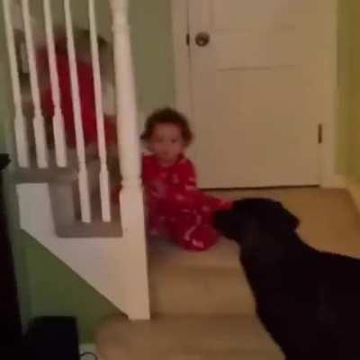 Watch that first step, it's a doozy!