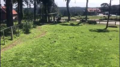 Mess around find out ð¤·ââï¸