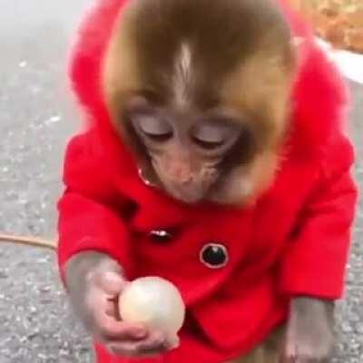 WENAPO CRISTIÁN 😎