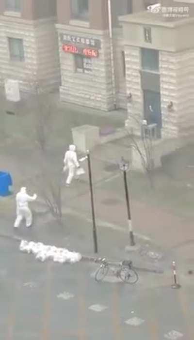 吉林蔬菜包摆拍