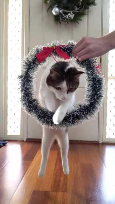 Merry Christmas from Broccoli