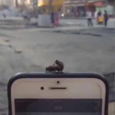 And just when you think you've seen everything...