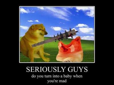 le slapstick has arrived