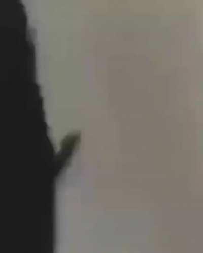 What did you expect -.-