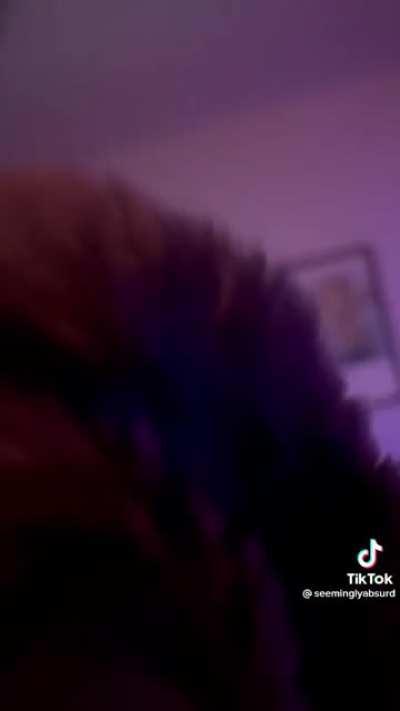 the sweetest lil meow ever