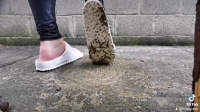 Crushing another garden pest