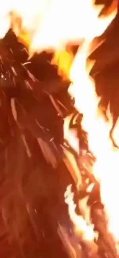 WCGW Pouring Gasoline on a fire surrounded by rugs (their whole house burned down)…