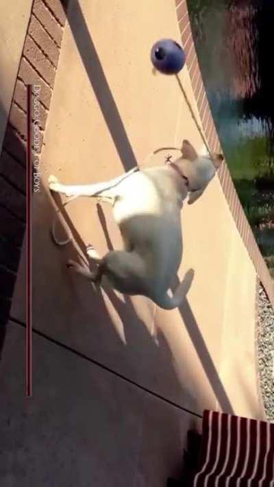 An interesting find in the Xbox store (mobile app)