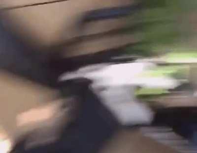 Okay, I think I lost him- OH SHIT!