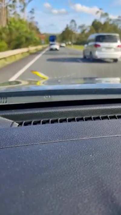 Snake going for a joyride