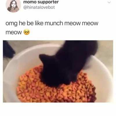 illegally smol criminal sings while munching