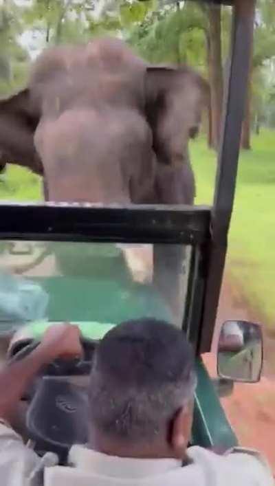 Hats Off to composure of the driver.