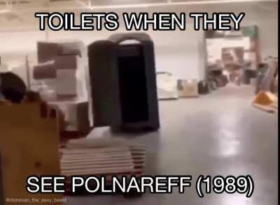 Polnareff’s Toilet Adventure