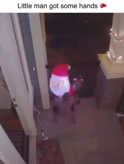 why jotaro beat alessci