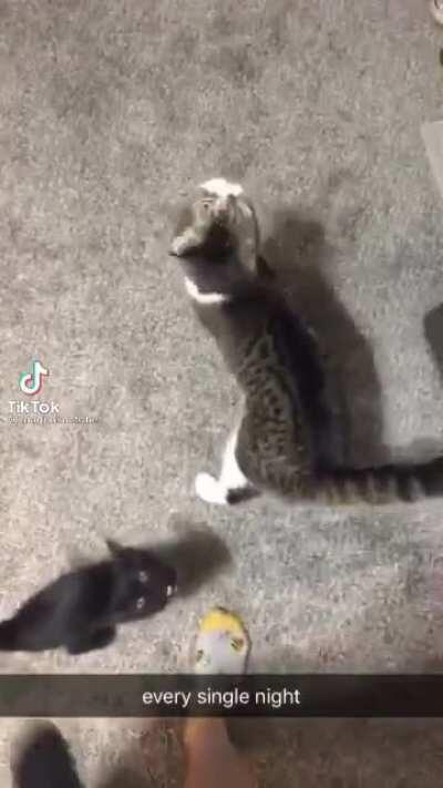 this is a test of the emergency broadcats system.