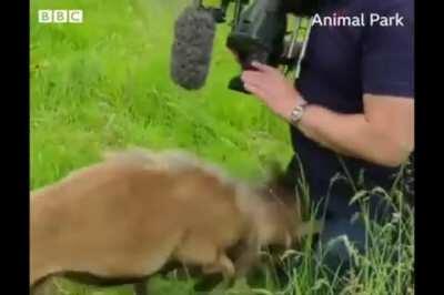 Trying to get the perfect shot