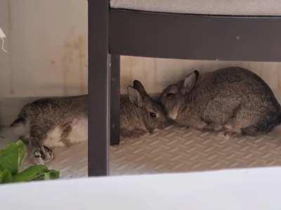 they melt my heart every single time